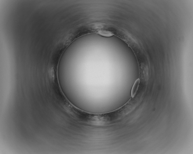 X0000112940562200908241009