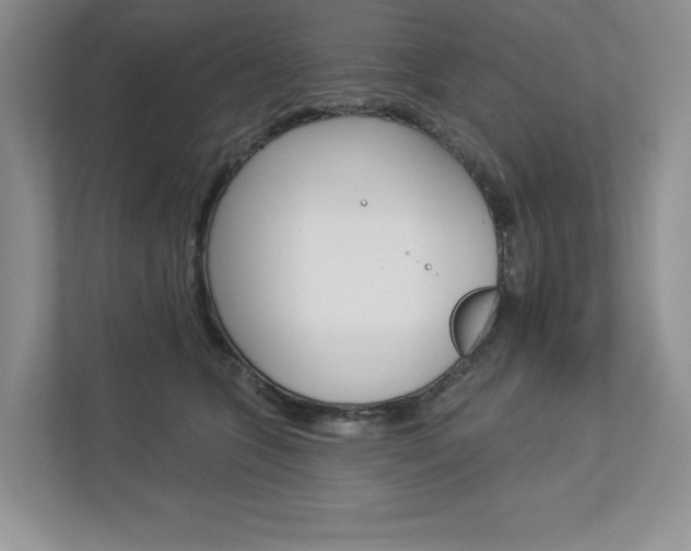 X0000112940563200908241009
