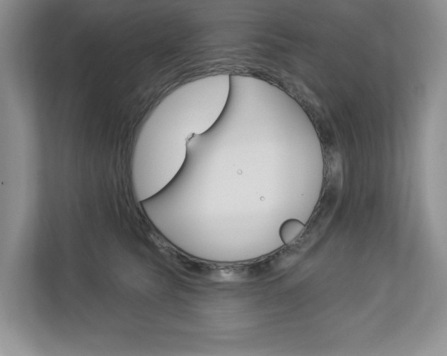 X0000112940565200908241009