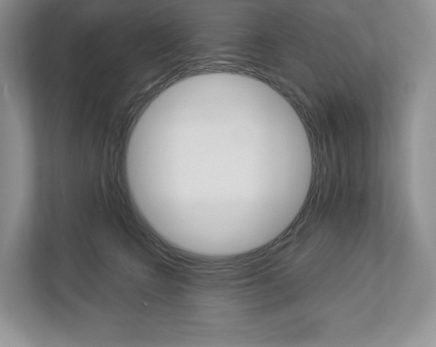 X0000112940566200908241009