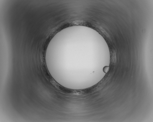 X0000112940569200908241009
