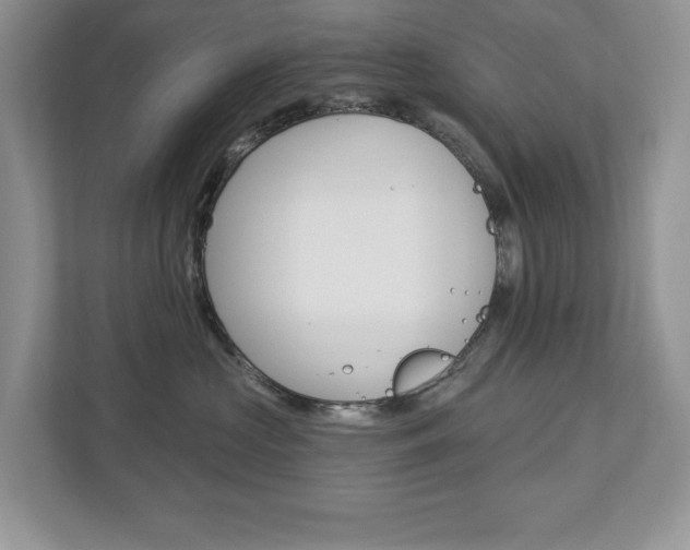 X0000112940573200908241009