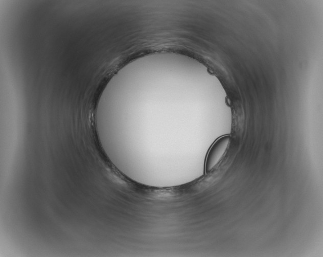 X0000112940574200908241009