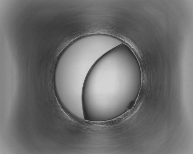 X0000112940577200908241009