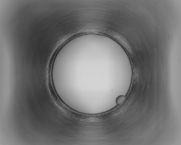 X0000112940578200908241009