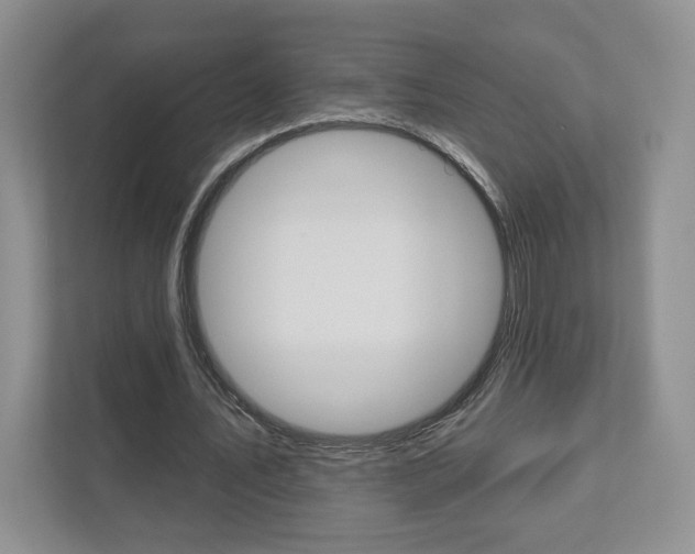 X0000112940579200908241008