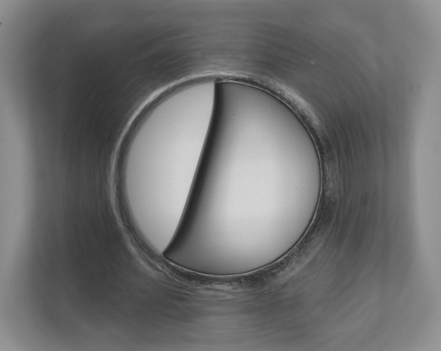 X0000112940580200908241008