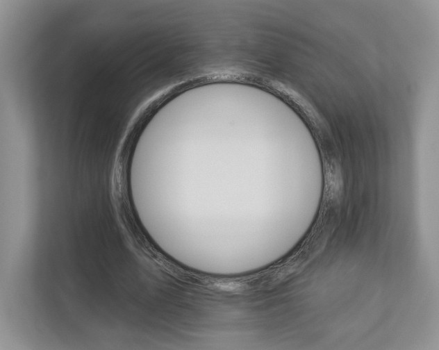 X0000112940583200908241008