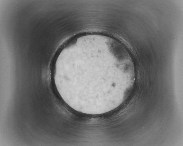 X0000112940584200908241008