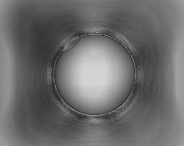 X0000112940585200908241008