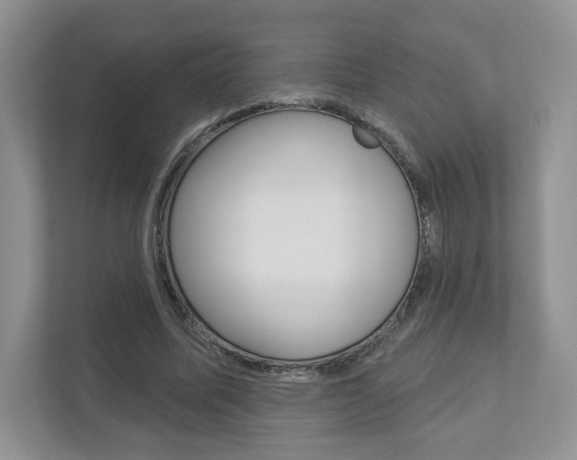 X0000112940587200908241008