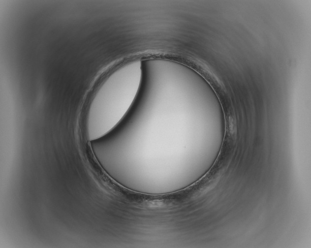 X0000112940588200908241008