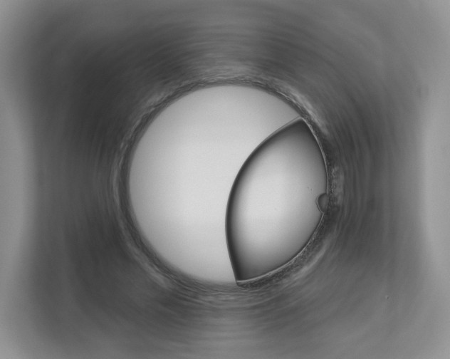 X0000112940589200908241008