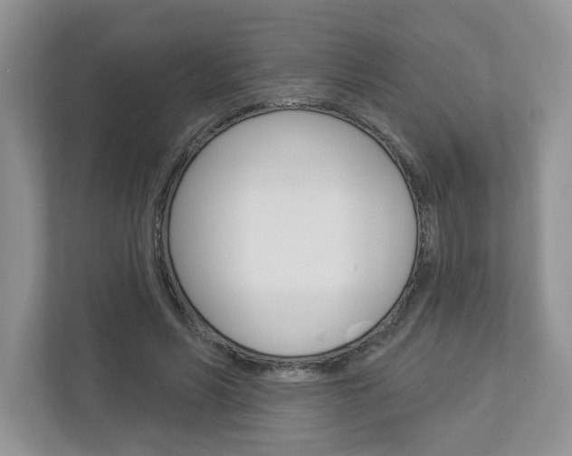 X0000112940590200908241008