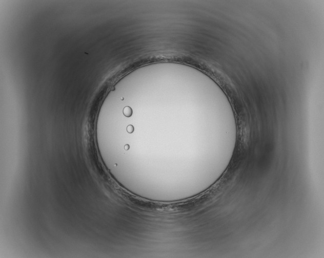 X0000112940591200908241008