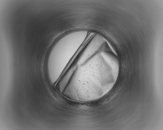X0000112940592200908241008