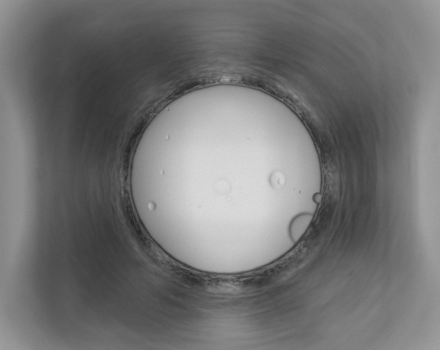 X0000112940594200908241008