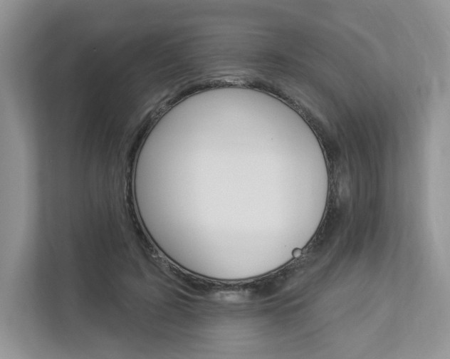 X0000112940595200908241008