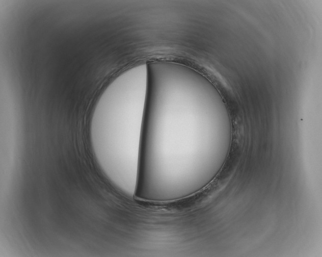 X0000112940597200908241008