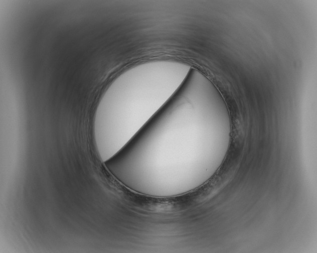 X0000112940600200908241008