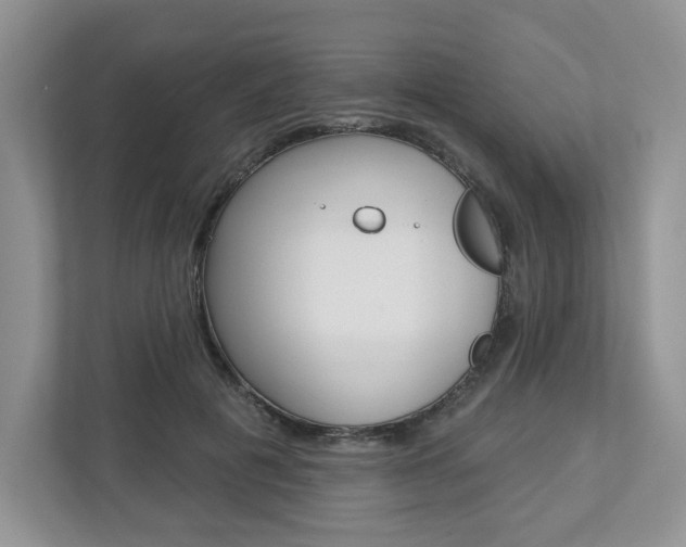 X0000112940601200908241008