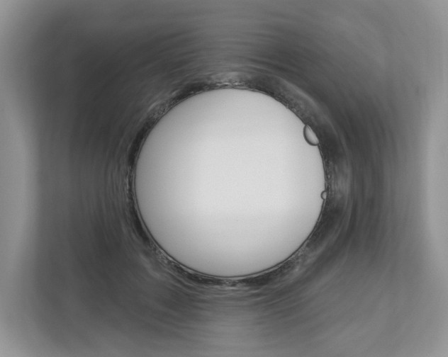 X0000112940603200908241008