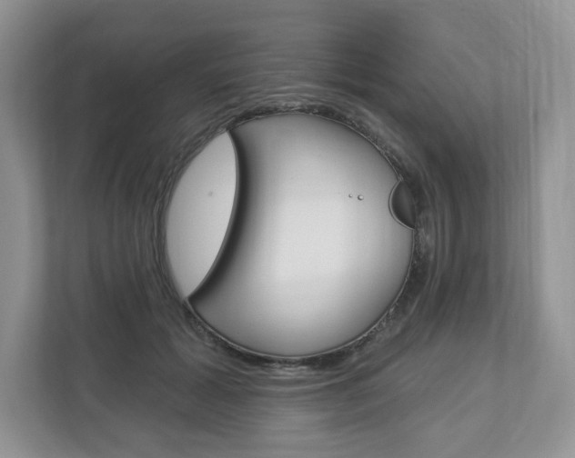 X0000112940605200908241008