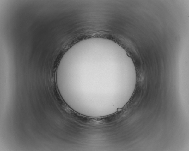 X0000112940607200908241008
