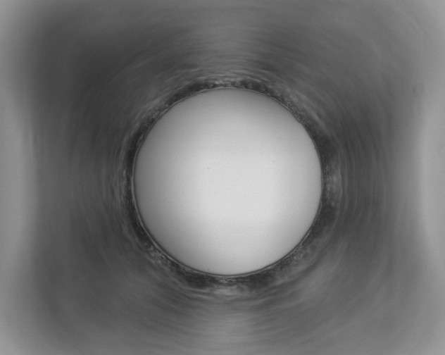 X0000112940608200908241008