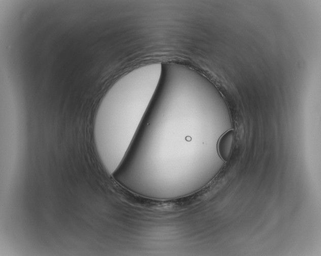 X0000112940609200908241008