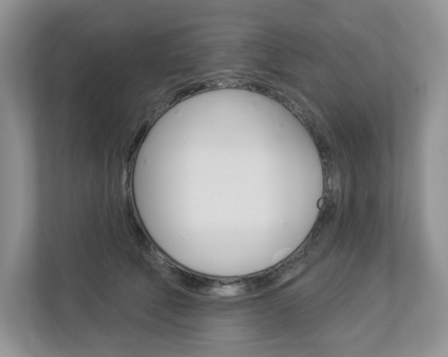 X0000112940610200908241008