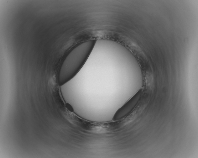 X0000112940611200908241008