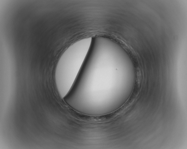 X0000112940613200908241008