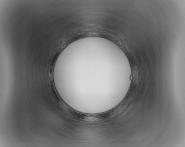 X0000112940614200908241008