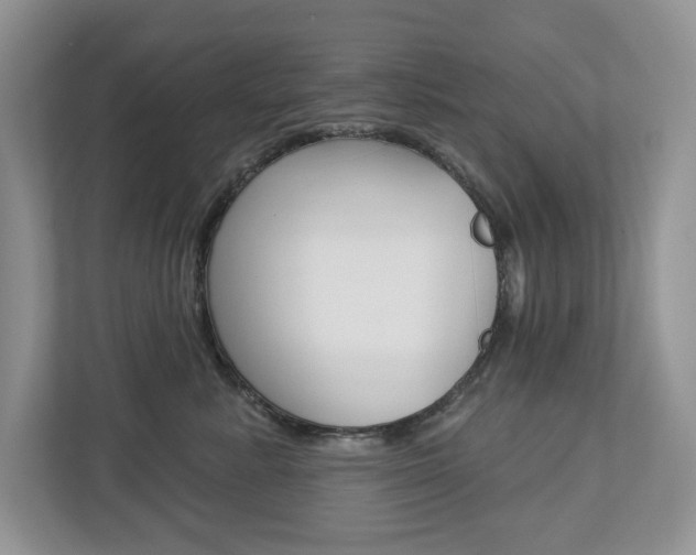 X0000112940619200908241008