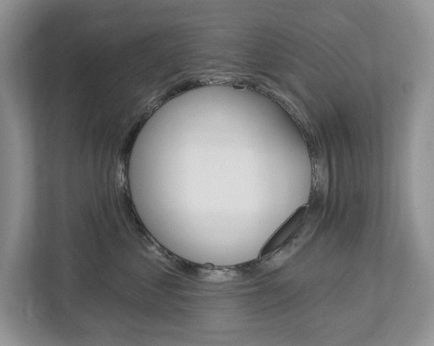 X0000112940621200908241008