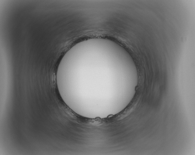X0000112940624200908241008