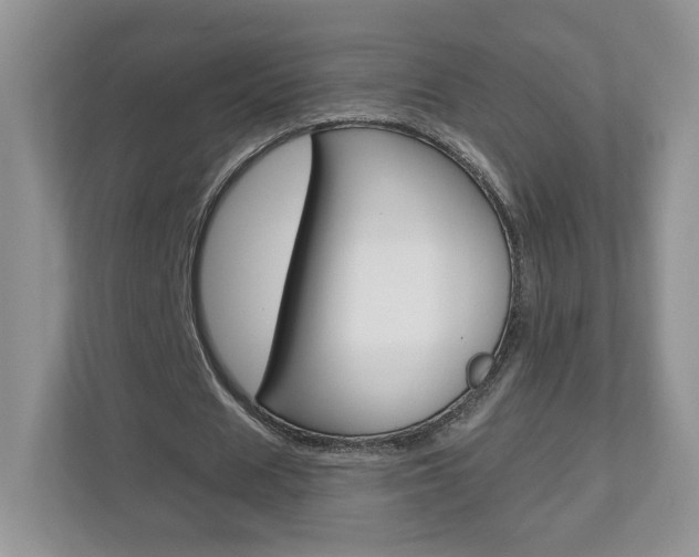 X0000112940625200908241007