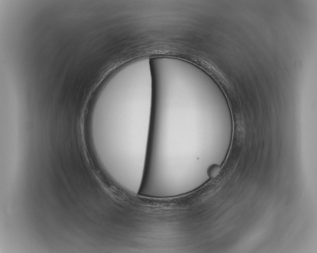X0000112940626200908241007