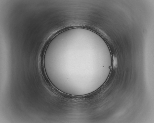 X0000112940627200908241007