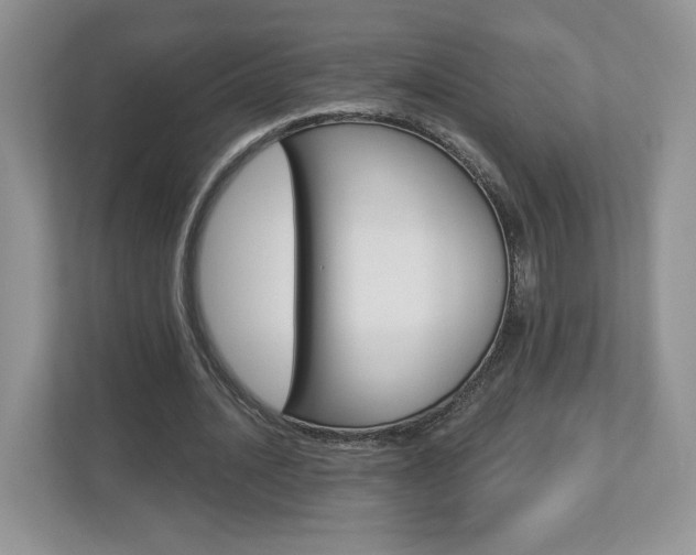 X0000112940628200908241007