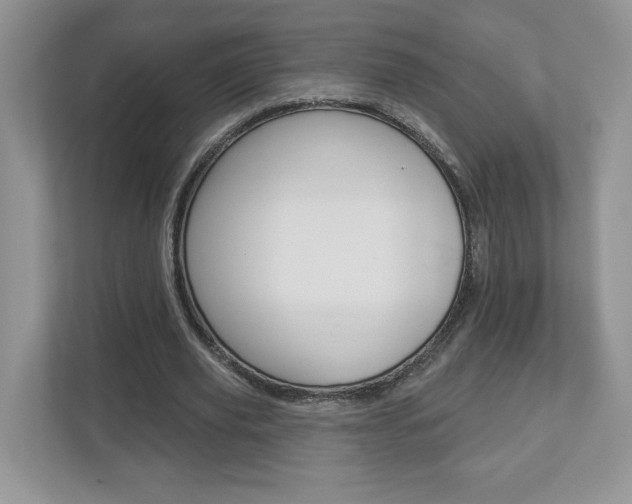 X0000112940629200908241007