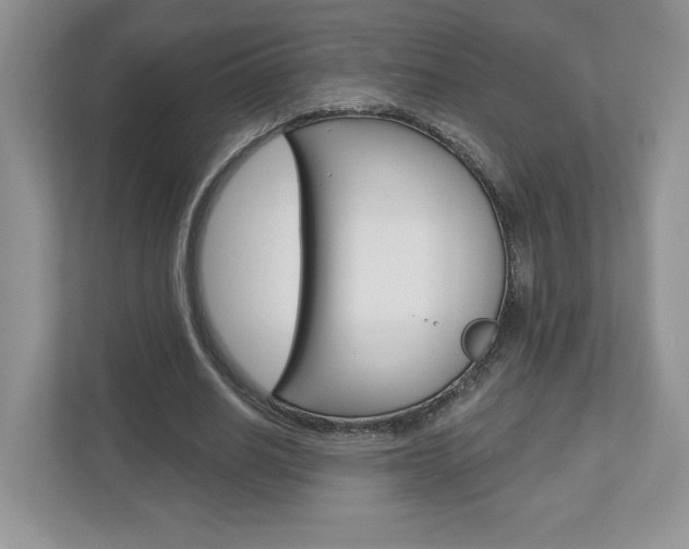 X0000112940630200908241007