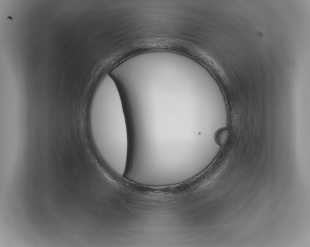 X0000112940633200908241007