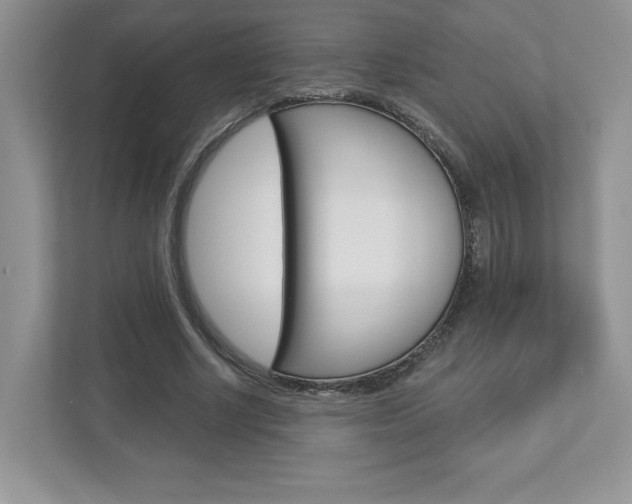 X0000112940634200908241007