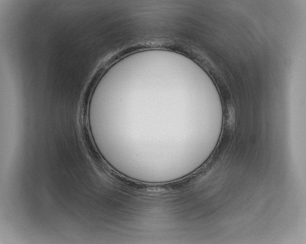 X0000112940636200908241007