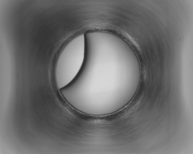 X0000112940637200908241007