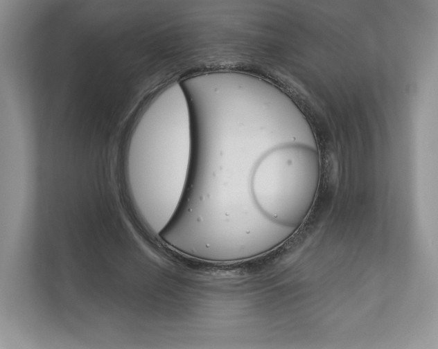 X0000112940638200908241007