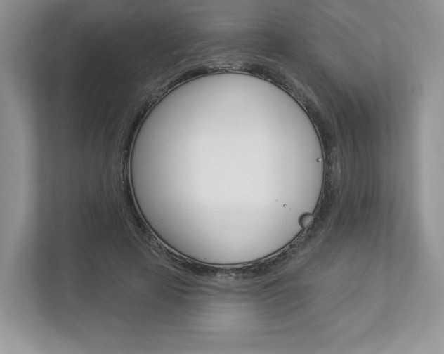 X0000112940641200908241007