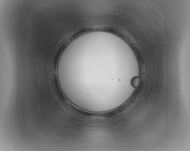 X0000112940644200908241008